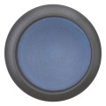 Bouton-poussoir lumineux, plat, bleu, à rappel (M22S-DL-B)