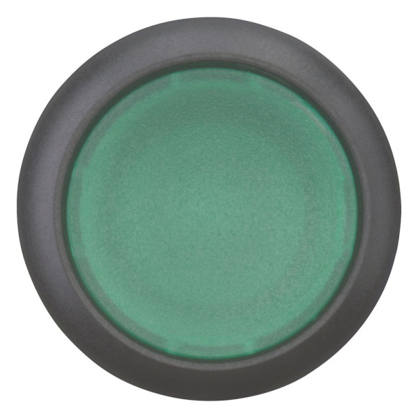 Bouton-poussoir lumineux, plat, vert, à accrochage (M22S-DRL-G)