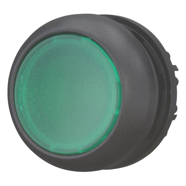 Bouton-poussoir lumineux, plat, vert, à accrochage (M22S-DRL-G)