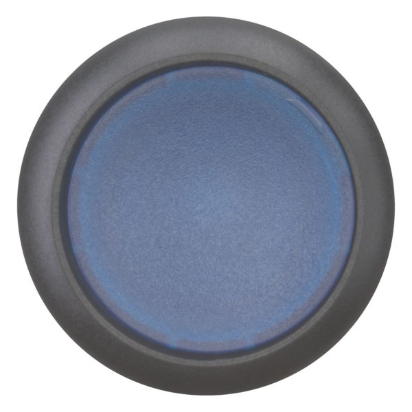 Bouton-poussoir lumineux, plat, bleu, à accrochage (M22S-DRL-B)