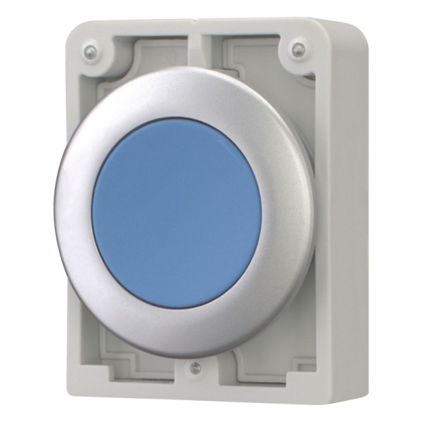 Bouton poussoir 30mm,flush, a rappel,bleu, sans inscription (M30C-FD-B)