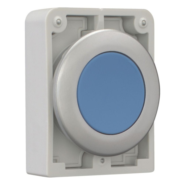 Bouton poussoir 30mm,flush, a rappel,bleu, sans inscription (M30C-FD-B)