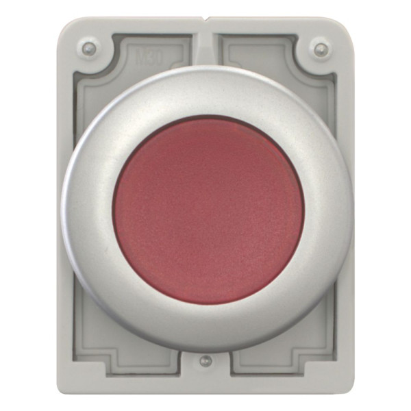 Bouton poussoir lumineux, 30mm, flush, a rappel,rouge, sans inscription (M30C-FDL-R)