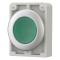 Bouton poussoir lumineux, 30mm, flush, a rappel,vert, sans inscription (M30C-FDL-G)