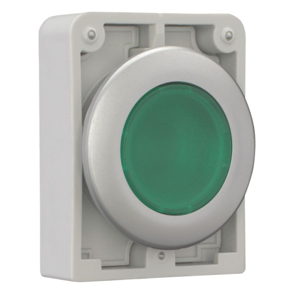 Bouton poussoir lumineux, 30mm, flush, a rappel,vert, sans inscription (M30C-FDL-G)