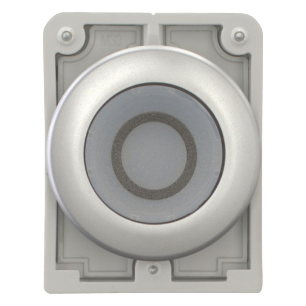 Bouton poussoir lumineux, 30mm, flush, a rappel,blanc, avec inscription  (M30C-FDL-W-X0)