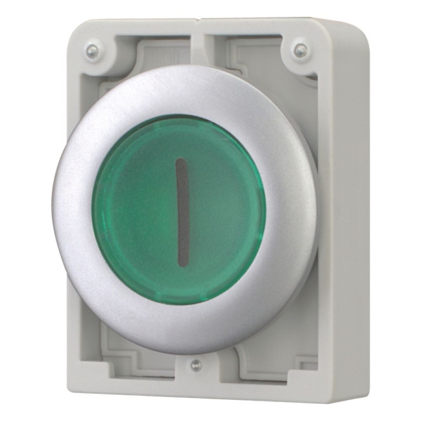 Bouton poussoir lumineux, 30mm, flush, à accroch vert, avec inscription  (M30C-FDRL-G-X1)