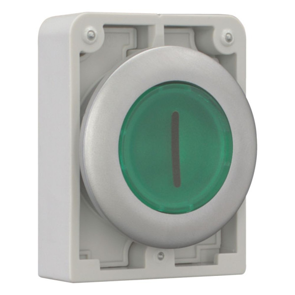 Bouton poussoir lumineux, 30mm, flush, à accroch vert, avec inscription  (M30C-FDRL-G-X1)