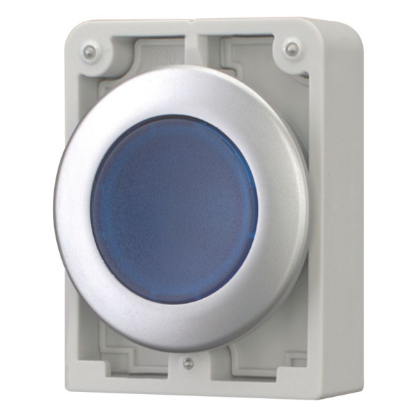 Bouton poussoir lumineux, 30mm, flush, a rappel,bleu, sans inscription (M30C-FDL-B)