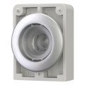 Bouton poussoir lumineux, 30mm, flush, a rappel,sans étiquette (M30C-FDL-X)