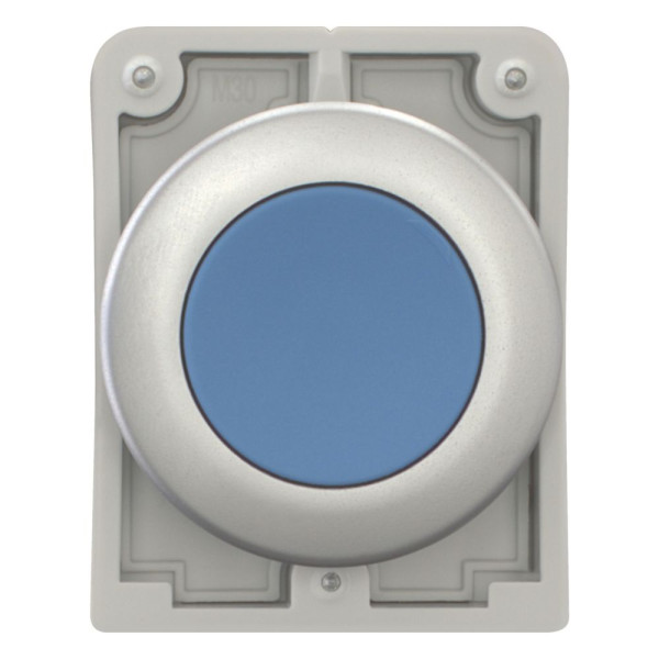 Bouton poussoir, 30mm, flush, à accroch bleu, sans inscription (M30C-FDR-B)