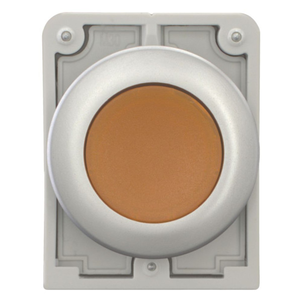 Bouton poussoir lumineux, 30mm, flush, à accroch orange, sans inscription (M30C-FDRL-A)