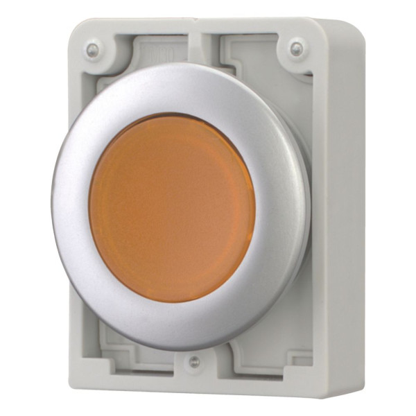 Bouton poussoir lumineux, 30mm, flush, à accroch orange, sans inscription (M30C-FDRL-A)