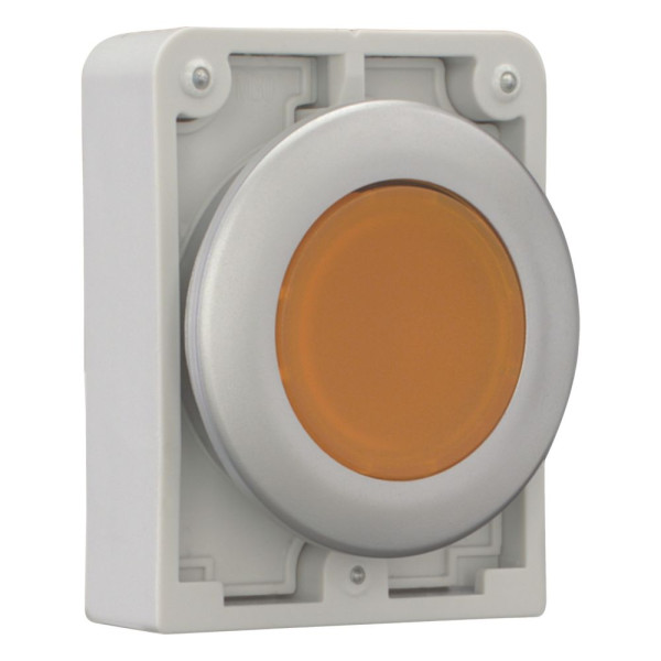 Bouton poussoir lumineux, 30mm, flush, à accroch orange, sans inscription (M30C-FDRL-A)