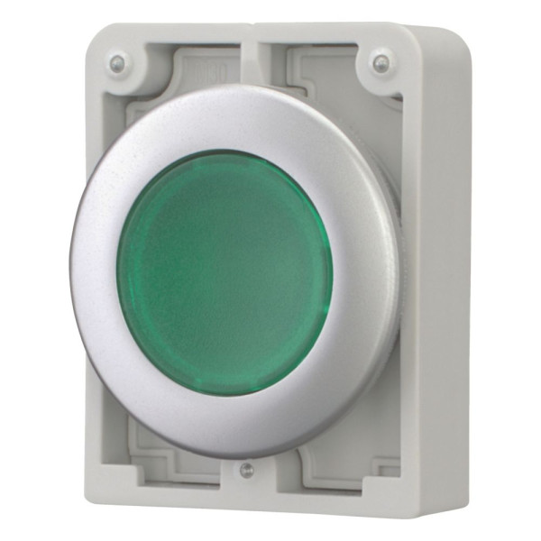 Bouton poussoir lumineux, 30mm, flush, à accroch vert, sans inscription (M30C-FDRL-G)