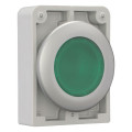 Bouton poussoir lumineux, 30mm, flush, à accroch vert, sans inscription (M30C-FDRL-G)