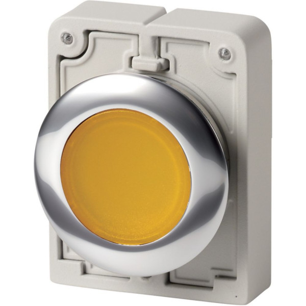 Bouton poussoir lumineux, 30mm, flush, à accroch blanc, sans inscription (M30C-FDRL-Y)