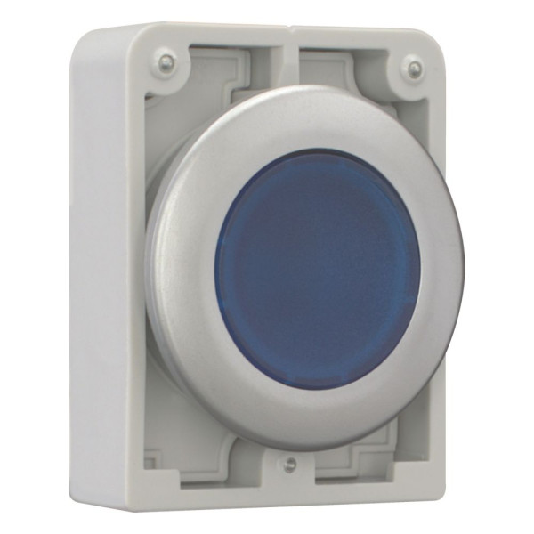 Bouton poussoir lumineux, 30mm, flush, à accroch bleu, sans inscription (M30C-FDRL-B)