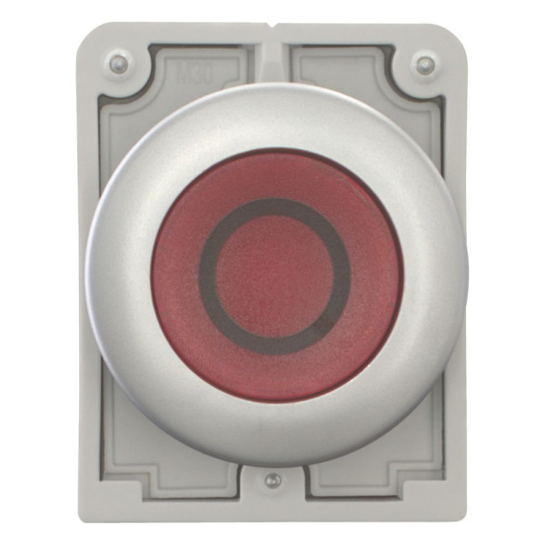 Bouton poussoir lumineux, 30mm, flush, a rappel,rouge, avec inscription  (M30C-FDL-R-X0)