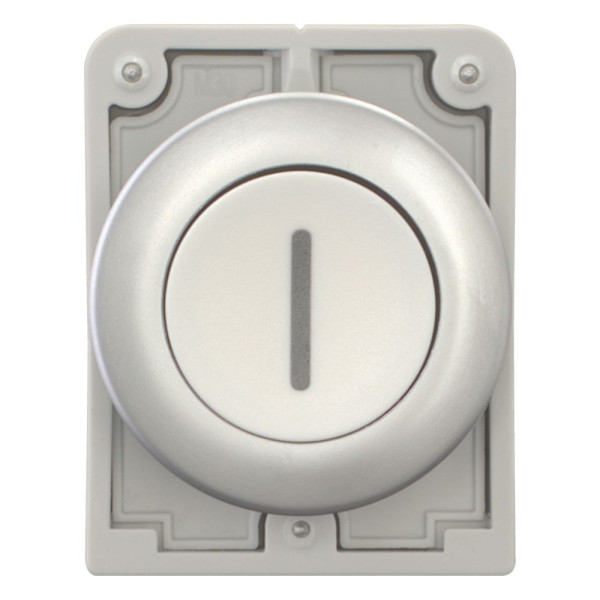 Bouton poussoir, 30mm, flush, a rappel,blanc, avec inscription  (M30C-FD-W-X1)