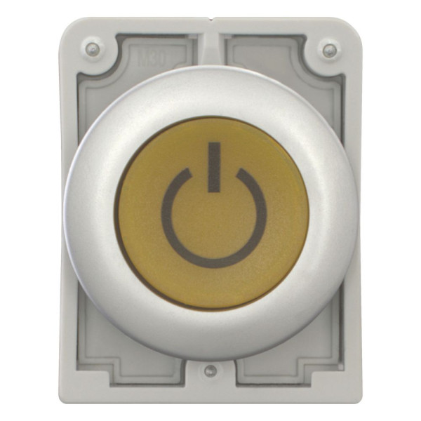 Bouton poussoir lumineux, 30mm, flush, a rappel,blanc, avec inscription  (M30C-FDL-Y-X162)