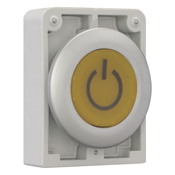 Bouton poussoir lumineux, 30mm, flush, a rappel,blanc, avec inscription  (M30C-FDL-Y-X162)