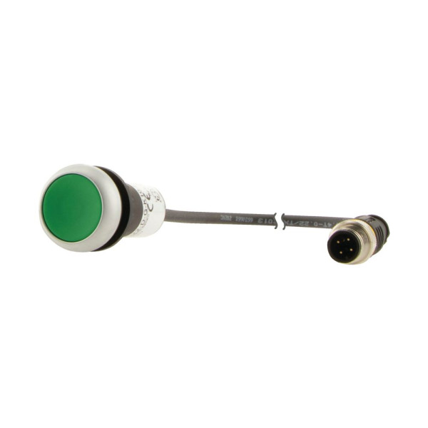 Bouton-poussoir affleurant; à rappel; vert ; 1 no; câble 1m et connecteur m12a (C22-D-G-K10-P5)