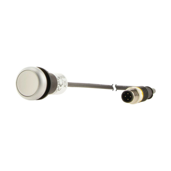 Bouton-poussoir affleurant; à accroch; blanc; 1 no; câble 0,5m + connecteur m12a (C22-DR-W-K10-P3)