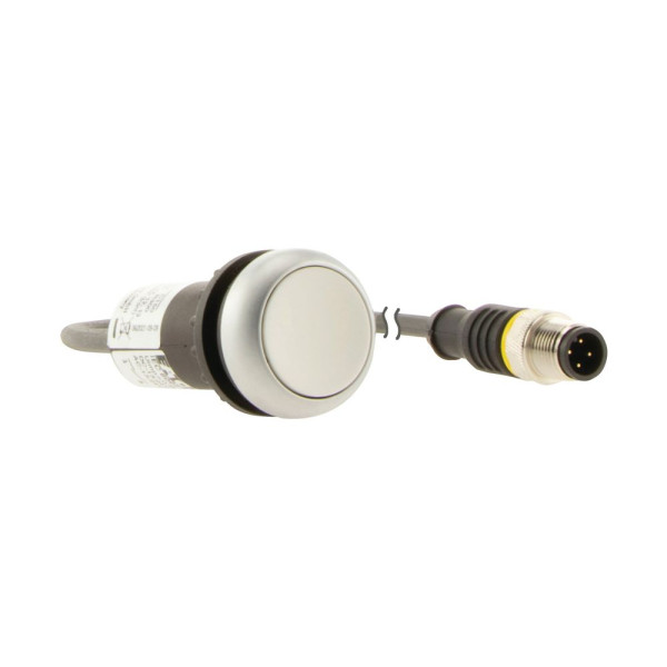 Bouton-poussoir affleurant; à accroch; blanc; 1 no; câble 0,5m + connecteur m12a (C22-DR-W-K10-P3)