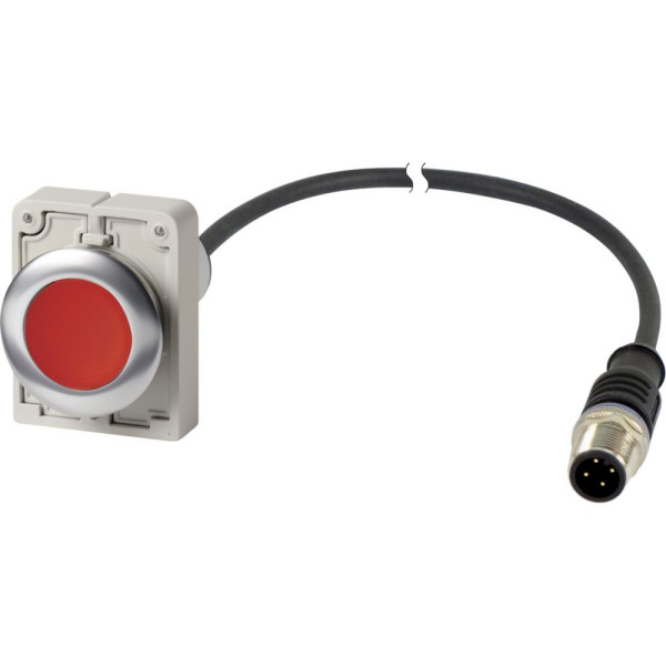 Bouton-poussoir, à rappel, 1 o, rouge, connecteur mâle m12a, tétrapolaire, 1 m (C30C-FD-R-K01-P5)