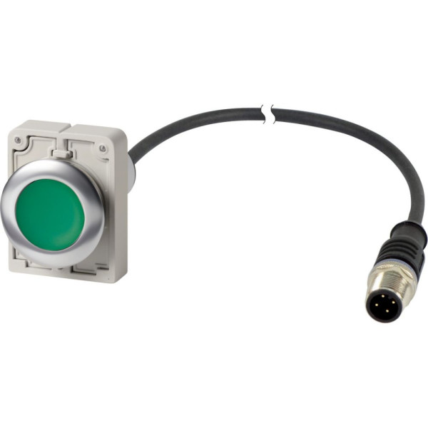 Bouton-poussoir, à accrochage, 1 n/o, vert, cable et connecteur m12a, 1 m (C30C-FDR-G-K10-P5)