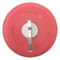 Bouton d'arrêt d'urgence, d=38mm, déverrouillé par clé, ms1 (M22-PVS)