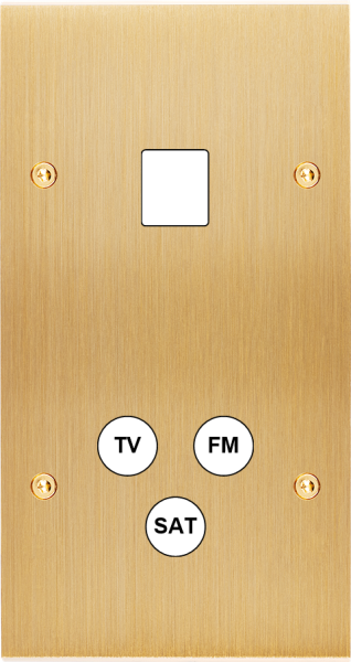 Façade Confidence Laiton double verticale 1 MEDIA TV-FM-SAT à vis (289-410)