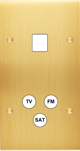Façade Confidence Laiton Satiné double verticale 1 MEDIA TV-FM-SAT à vis (289-419)
