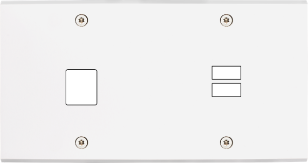 Façade confidence laiton blanc mat double horizontale 1 média ouverture pour chargeur double usb à vis