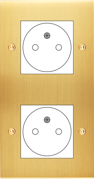 Façade Confidence Laiton Satiné double verticale ouverture 44x44 pour BTICINO à vis (2038-419)