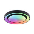 Wd spacycolor dy rgb tunw 38,5w 475mm sz