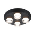 Sdb plafonnier kame led 4xxxw xxxlm xxxxk d.250mm noir 230v ip44