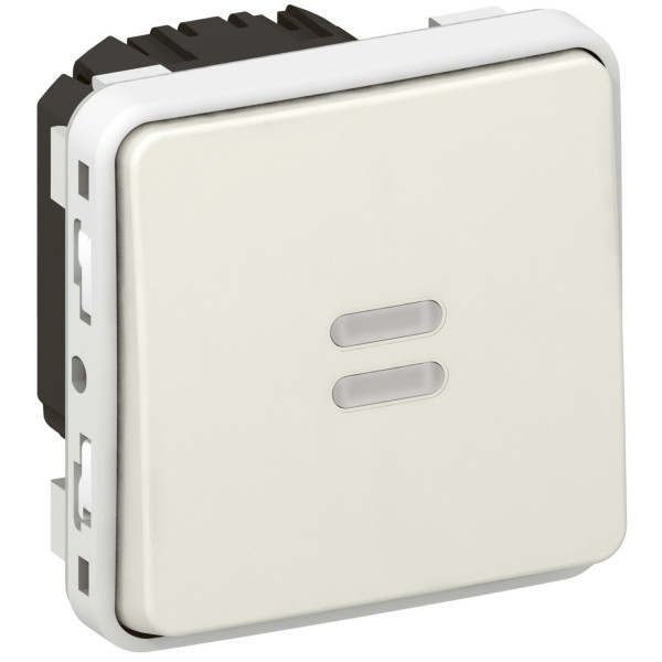 Interrupteur temporisé lumineux Legrand Plexo composable blanc - 230V - 50/60 Hz