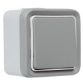 Va-et-vient Legrand Plexo complet saillie gris - 10 AX