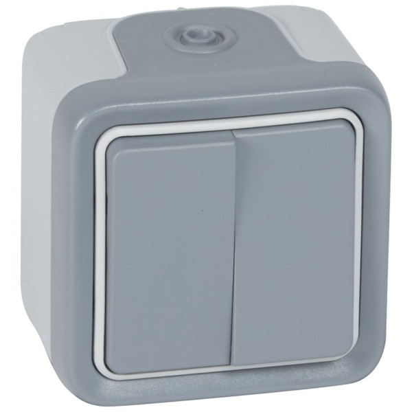 Double interrupteur ou va-et-vient Plexo complet IP55 saillie 10AX 250V - gris