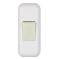 Interrupteur bipolaire 2a 250v blanc lum.